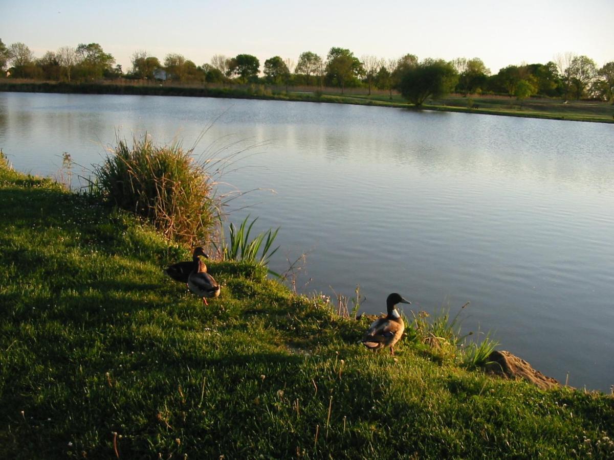 Camping Du Lac De Saujon Exterior foto